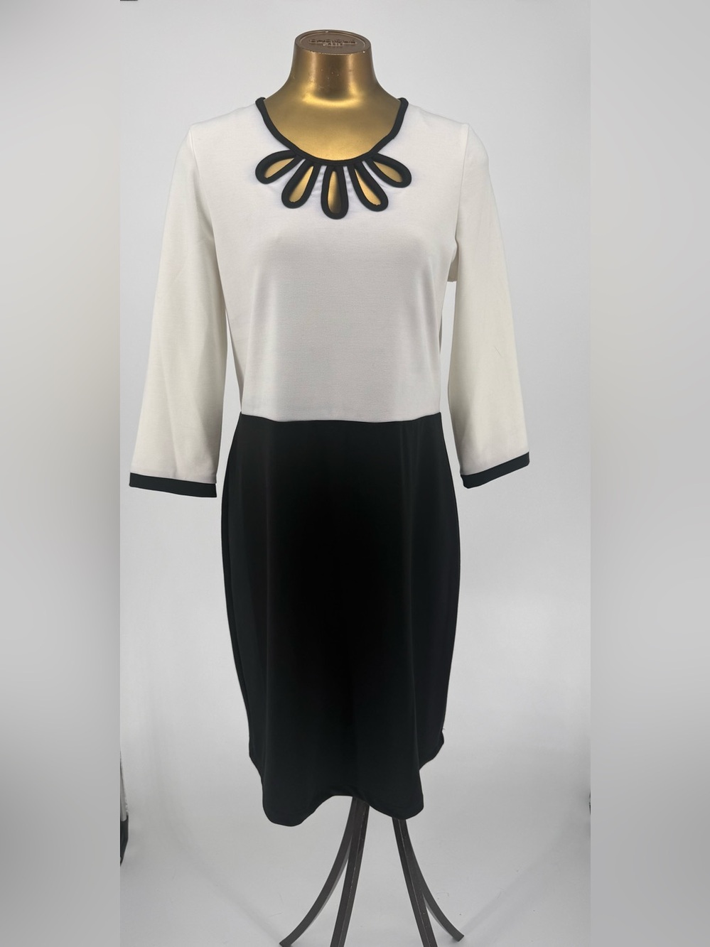 NWT Amelia Classic Two-Tone Black & White Sheath Dress Size 14
Colorblock Cutout